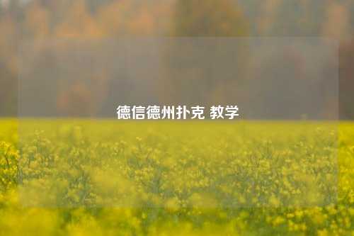 德信德州扑克 教学