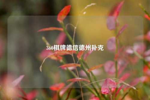360棋牌德信德州扑克