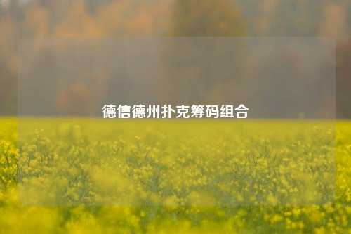 德信德州扑克筹码组合