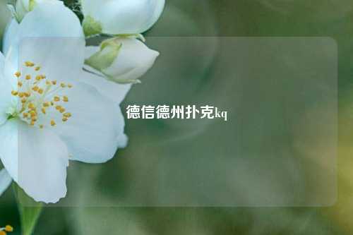 德信德州扑克kq