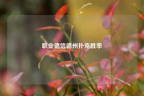 职业德信德州扑克胜率