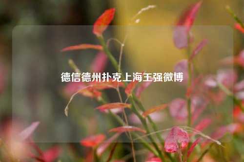 德信德州扑克上海王强微博