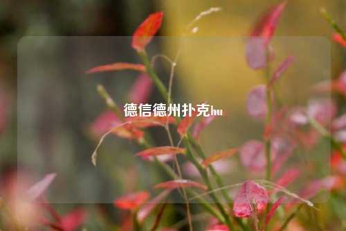 德信德州扑克hu