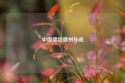 中国德信德州扑克