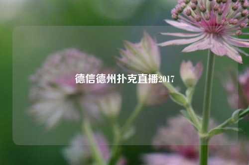 德信德州扑克直播2017