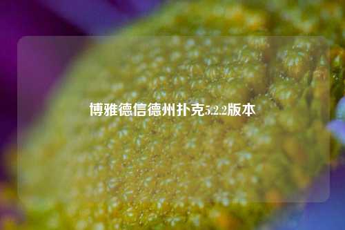 博雅德信德州扑克5.2.2版本
