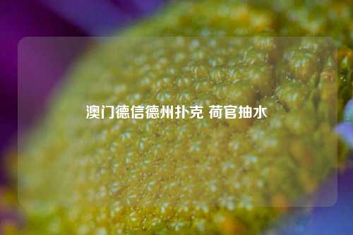 澳门德信德州扑克 荷官抽水