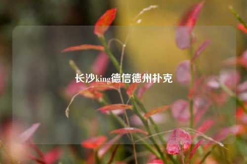 长沙king德信德州扑克