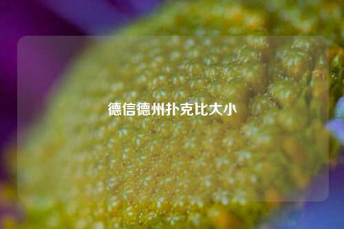 德信德州扑克比大小