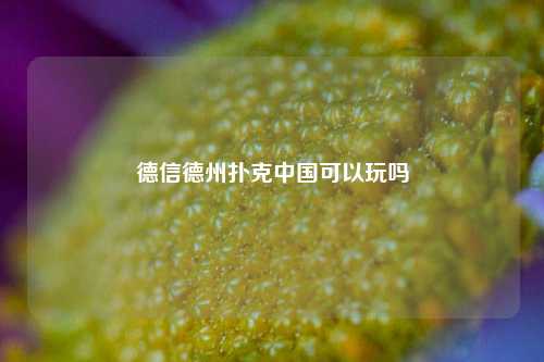 德信德州扑克中国可以玩吗