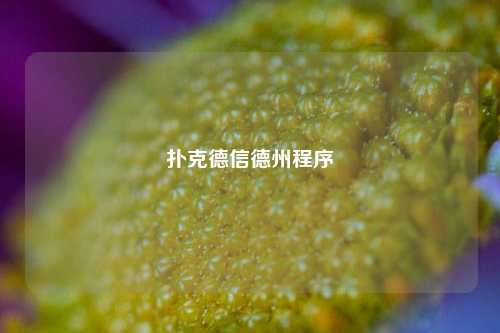 扑克德信德州程序