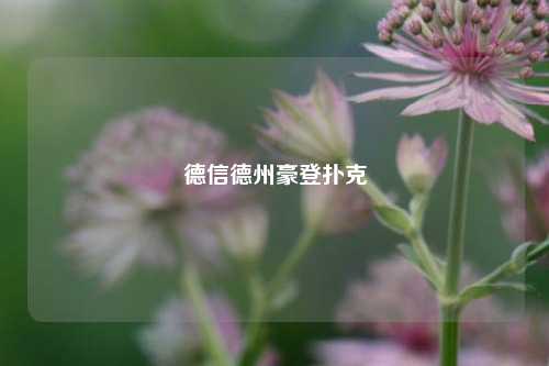 德信德州豪登扑克