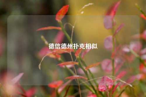 德信德州扑克相似