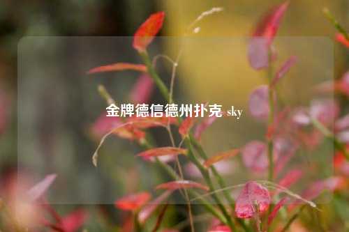 金牌德信德州扑克 sky